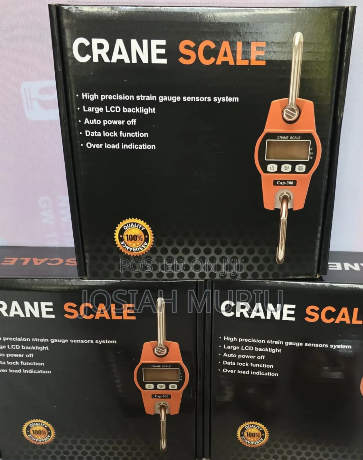 Reachageable Digital Crane Scale
