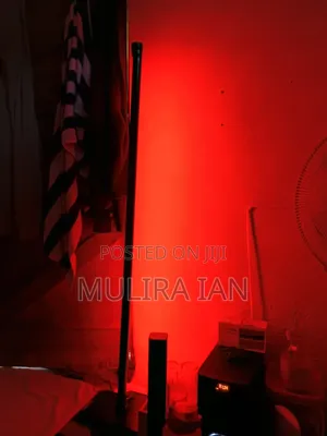 RGB Floor Lamps