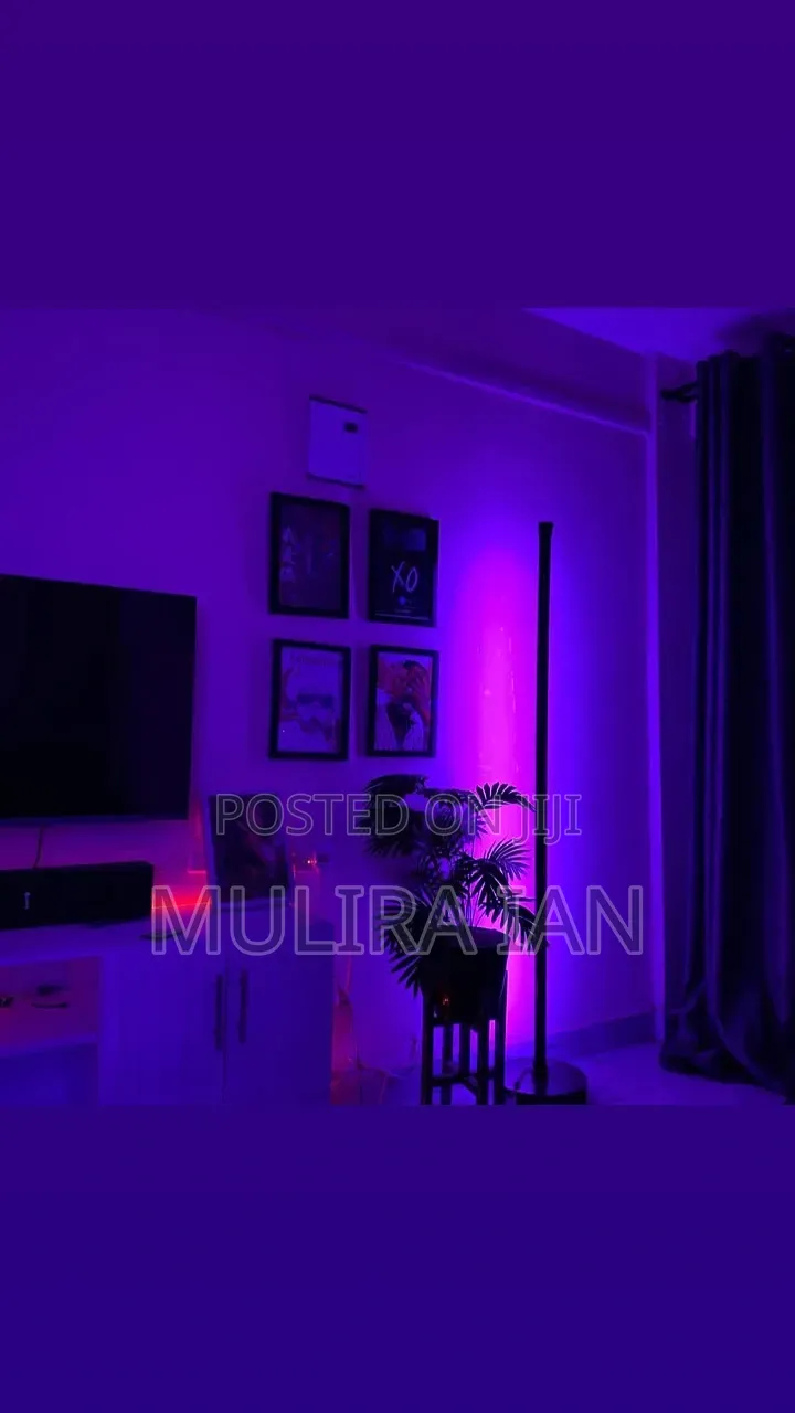 RGB Floor Lamps
