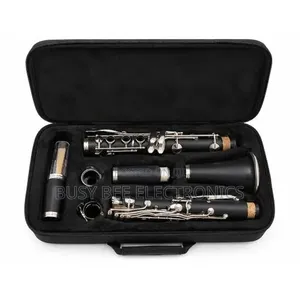 Professional Bb Clarinet With Hard Carry Case – Black