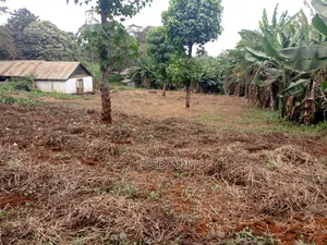 1.3acres Kiukenda