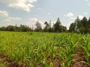 Plots on Sale