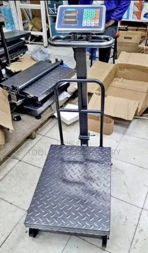 600kg Platform Scale/ Digital Weighing Scale 600kgs - Weighing Machine