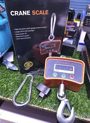 500kg Crane Scale / Digital Crane Scale 500kgs / Hanging Scales 500kgs