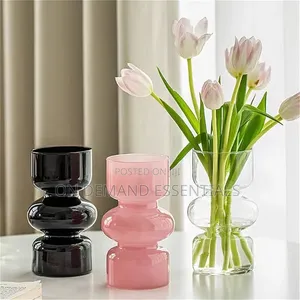 Decorative Glass Hydroponic Flower Vases