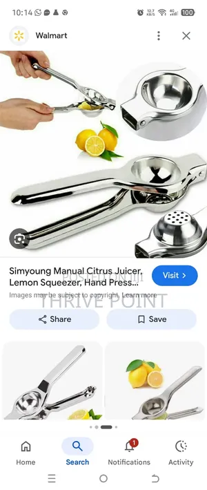 Stainless Steel Lemon Squeezer