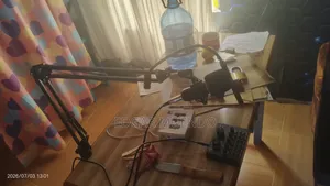 Condenser Microphone
