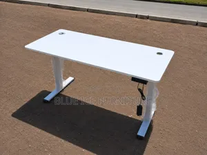 Electric Height Adjustable Standing Desk- Ergonomic Workstation