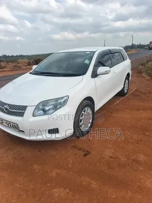 Toyota Corolla Fielder 2009 White