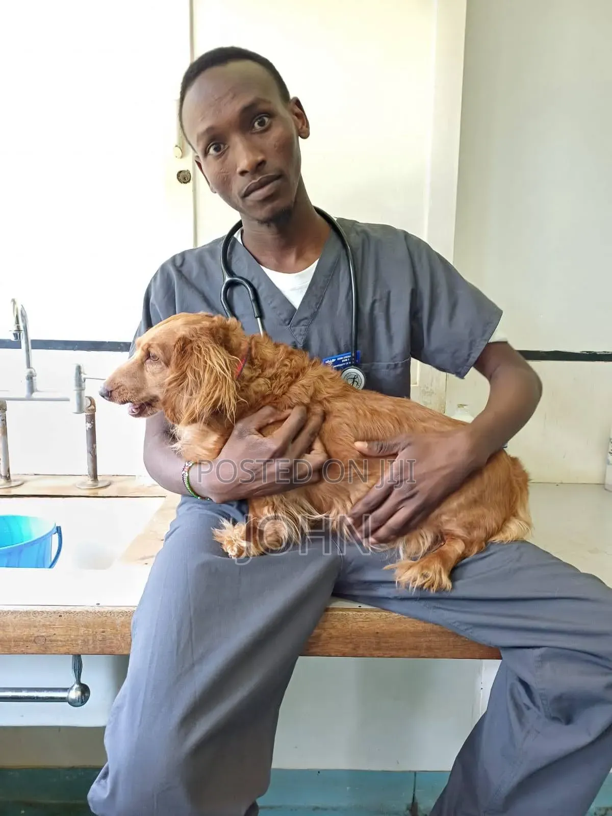 Professional Mobile Veterinary Services.