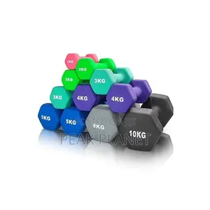 Vinyl Dumbbells – Limited Stock