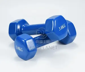 High Quality Vinyl Dumbbells