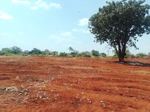 Land and Property