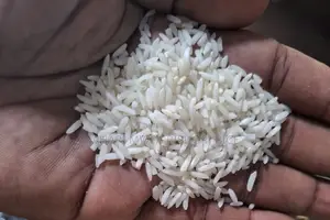 Original Mwea Pishori Rice