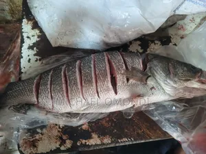Nile Perch/Mbuta 1KG - 580(Lates Niloticus)