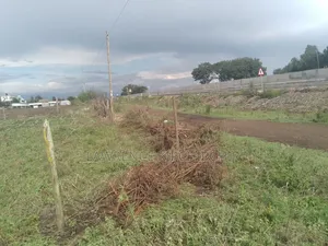 Land on Sale