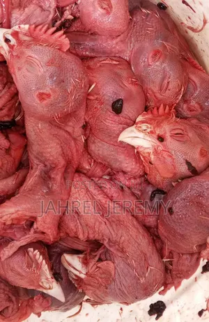 Chicken Heads and Shrimps.