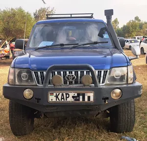 Toyota Land Cruiser 2000 Blue