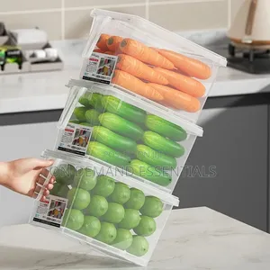 1pc Vegetable Eggs Meat Storage Box