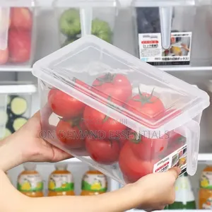 1pc Vegetable Eggs Meat Storage Box