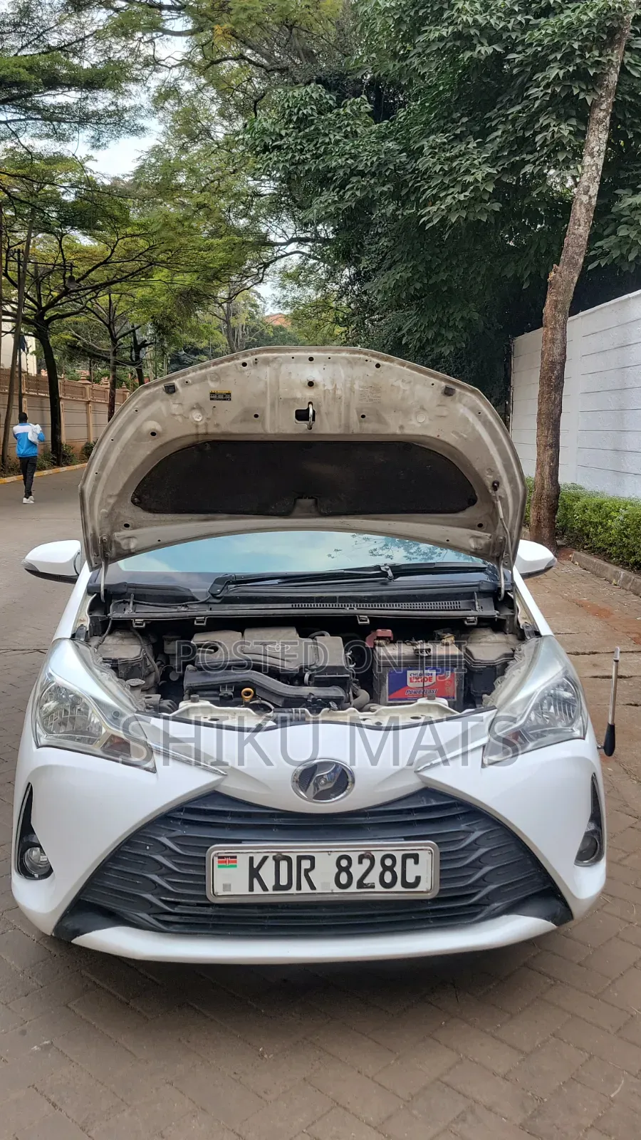 Toyota Vitz 2017 White