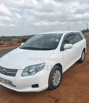 Toyota Corolla Fielder 2009 White
