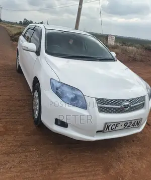 Toyota Corolla Fielder 2009 White