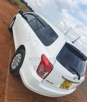 Toyota Corolla Fielder 2009 White