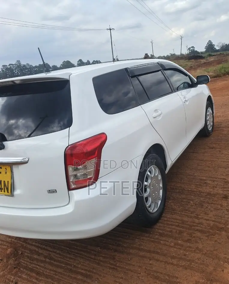 Toyota Corolla Fielder 2009 White