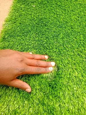 Grass Carpet With a Smooth Texture