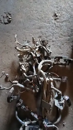 Engine Harness Volkswagen Golf Cav
