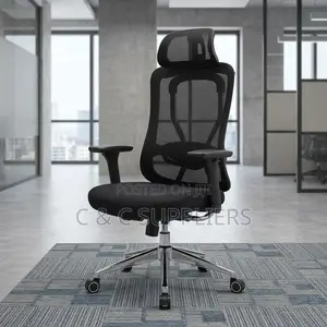 Modern Orthopedic Mesh Boss Chair