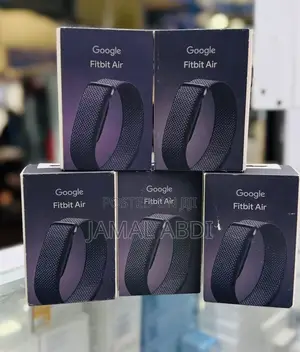 Google Fitbit Air