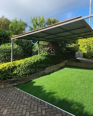 Grass Carpet for Your Backyard