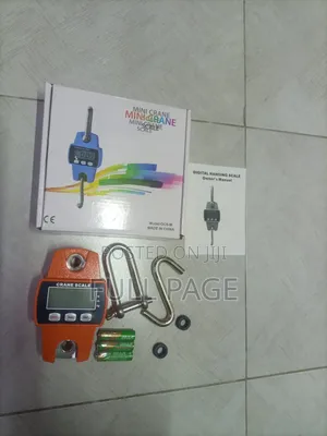 300kg Mini Crane Scale