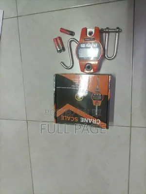 300kg Hanging Scale