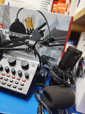 BM-800 Condenser Microphone With V8 Live Sound Card Kit