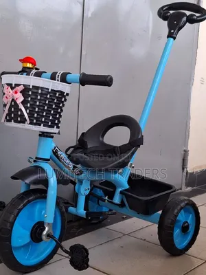Tricycle With Handle for Kids