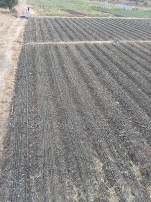 One Are Drip Irrigation Kit