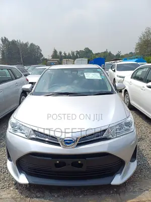 Toyota Axio 2019 Gray