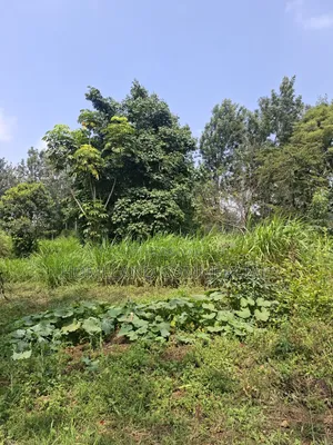Land for Sale in Karen Fair Acres