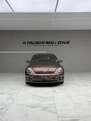 Volkswagen Beetle 2018 Brown