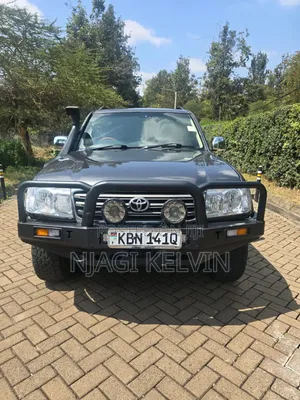 Toyota Land Cruiser 2005 Gray