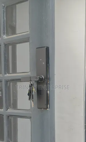 Smart Lock Hot New Product TUYA Finger Print Electric Smart Digit Lock