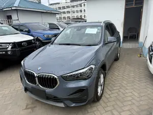 BMW X1 2020 Gray