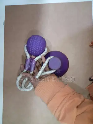 Dog Toy With Suction Cup