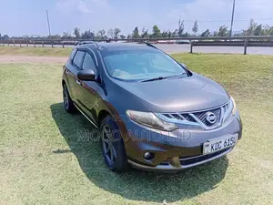 Nissan Murano 2014 Brown