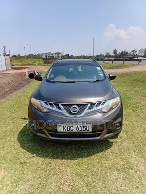 Nissan Murano 2014 Brown