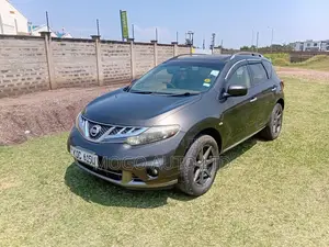 Nissan Murano 2014 Brown