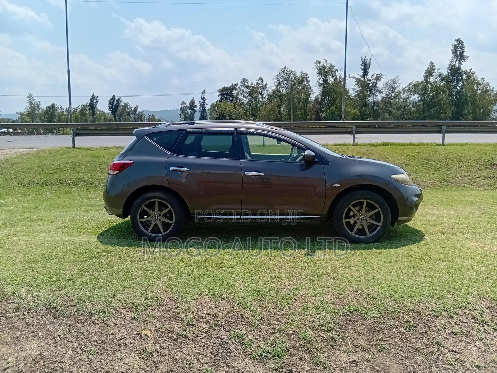 Nissan Murano 2014 Brown